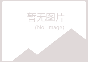 抚顺新抚夏岚能源有限公司